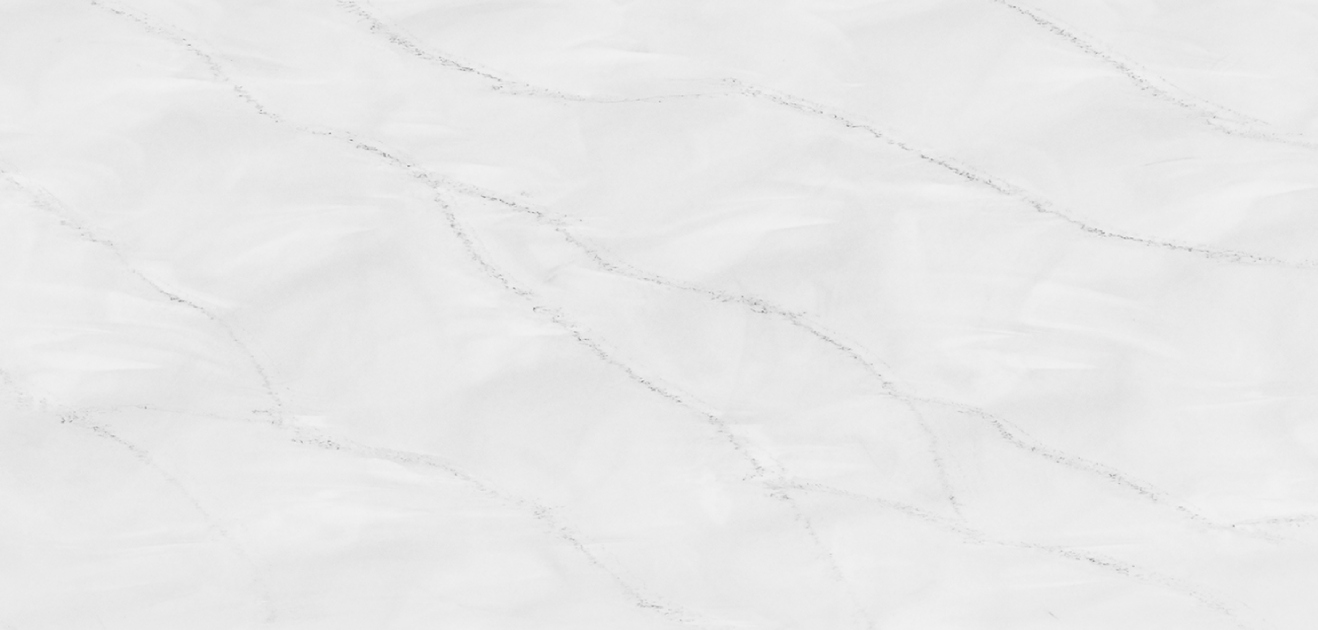  venato